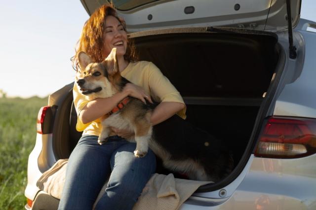 7 Health and Safety Tips for Traveling with Pets cover picture