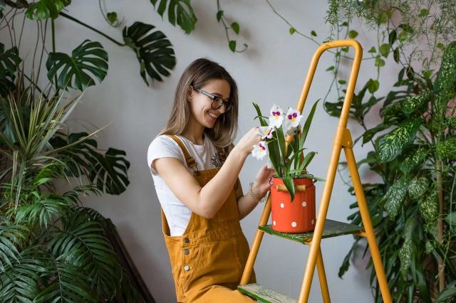 5 Common Mistakes That Kill Your Houseplants cover picture