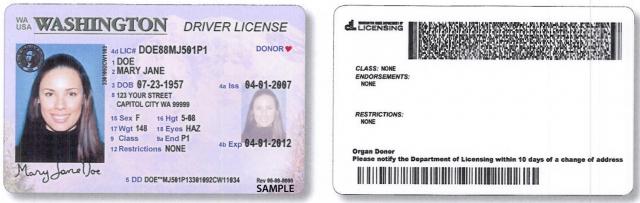 Fake Driver License Maker: Create Authentic-Looking IDs cover picture