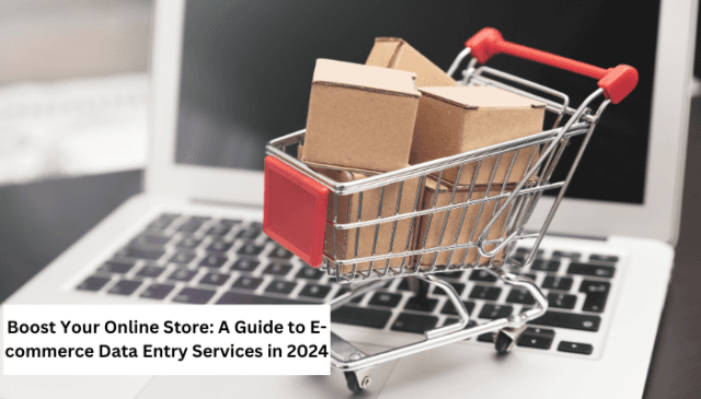 Boost Your Online Store: A Guide to E-commerce Data Entry Services in 2024 cover picture