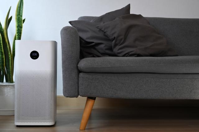 How To Choose the Best Air Purifier for Your Home cover picture