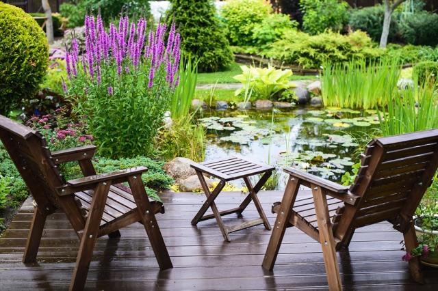 5 Pond Landscaping Ideas You’ll Love cover picture