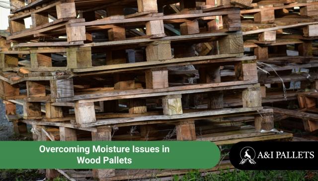 Overcoming Moisture Issues in Wood Pallets cover picture