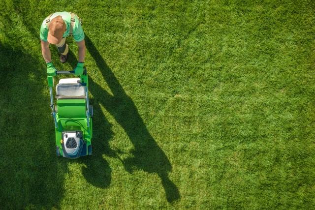 How to Choose the Best Lawn Care Providers in Idaho? cover picture