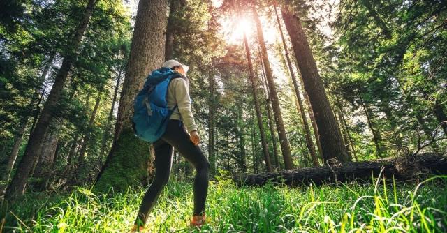 Don’t Love Hiking? Try These Tips for a Better Experience cover picture