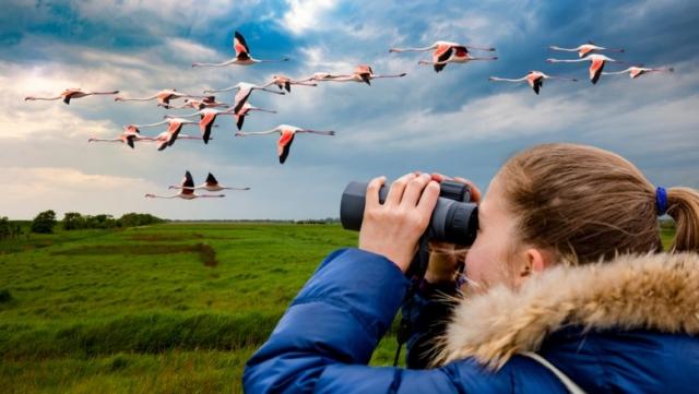 Unveiling the Wonders of a Serengeti Tour: A Journey Through Africa’s Wild Heart cover picture