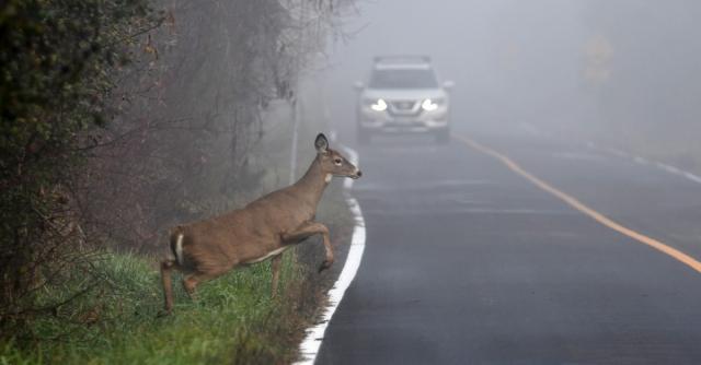 A Safer Drive: Common Road Hazards That Are Easy To Miss cover picture