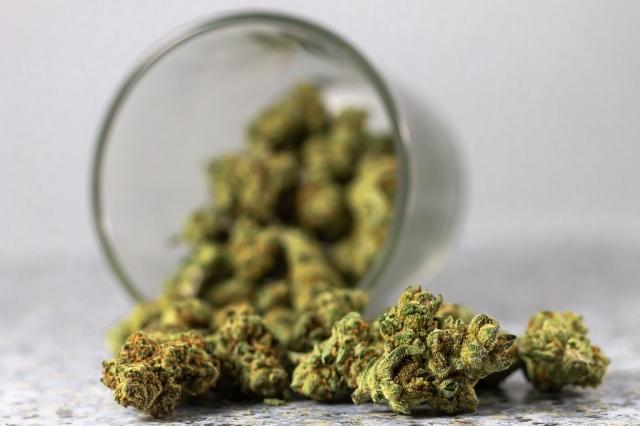 Buying Delta 8 THC Online: Must-Have Things to Consider! cover picture