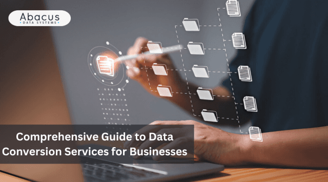 A Comprehensive Guide to Data Conversion Services for Businesses cover picture
