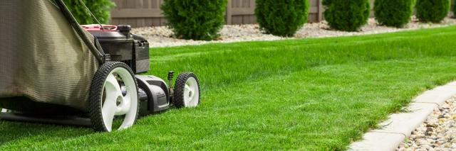 Routine Lawn Mowing: The Secret to a Lush and Healthy Lawn cover picture