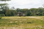Embark on a Luxury Safari Tour: Exploring the Leopard Hills of India and Masai Mara National Reserve cover picture