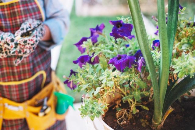 How to Choose the Right Mulch Delivery Service for Your Needs cover picture