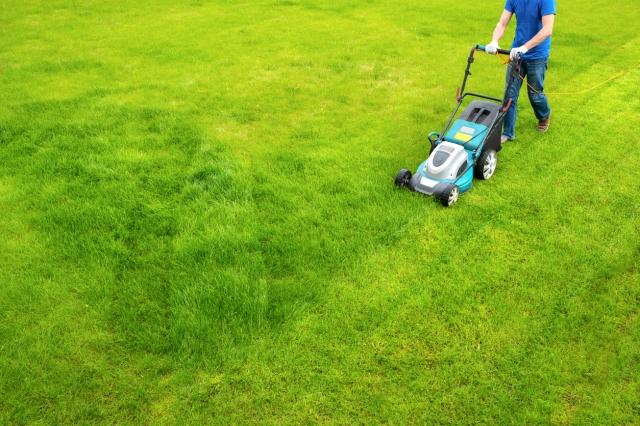 Discover the Best Lawn Care Services in Meridian, Idaho cover picture