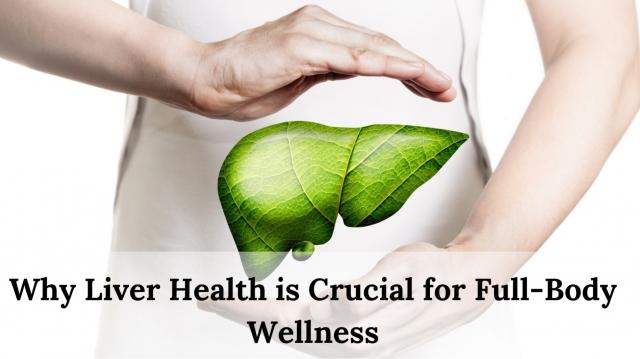 Why Liver Health is Crucial for Full-Body Wellness cover picture