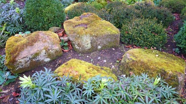 Small Space, Big Impact: Landscaping Tips for Tiny Houses cover picture