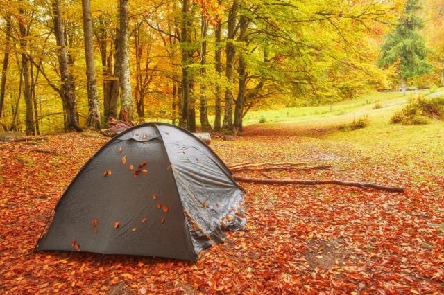 5 Stunning Spots For Autumn Camping In Ontario, Canada cover picture