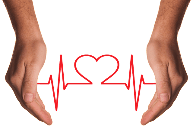 What is a Holistic Health Coach & What Can They Do? cover picture