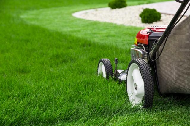 How to Purchase a New Lawn Mower on a Tight Budget cover picture