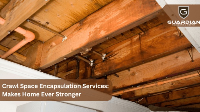 Crawl Space Encapsulation Services: Makes Home Ever Stronger cover picture