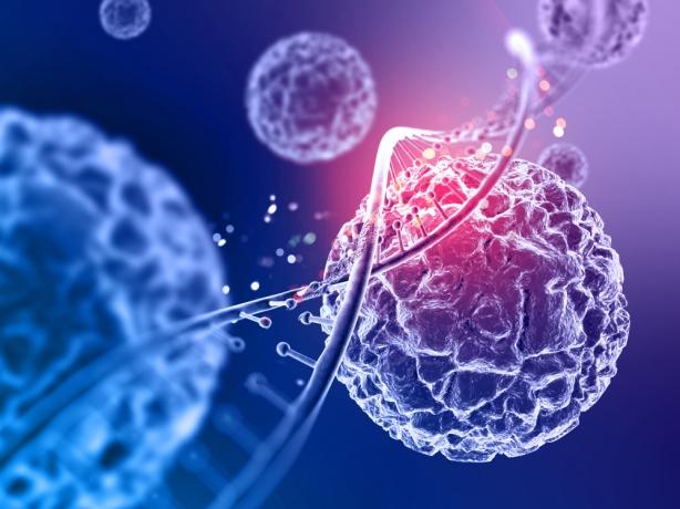 Known and Unknown Factors that can Contribute to Cancer Development cover picture