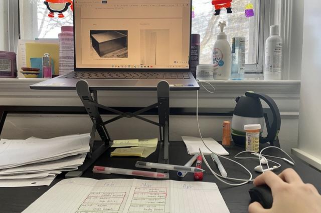 Should online learning be a permanent option for students? cover picture