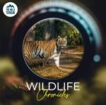 Tiger Safari: The Ultimate Wildlife Adventure for Conservation Enthusiasts cover picture