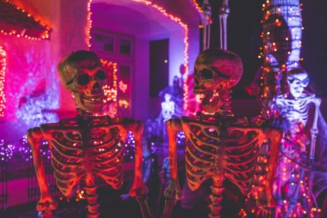 8 Budget-Friendly Ideas for Decorating Your Yard for Halloween cover picture