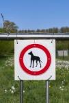 Why You Should Consider Using Warning Leads for Dogs cover picture