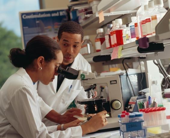 Accelerating Cancer Research with Innovative Tools cover picture