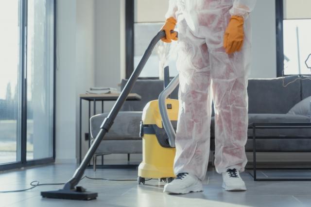 Cordless Steam Mops: Everything You Need to Know cover picture