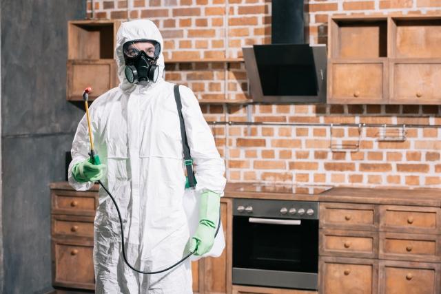 The Benefits of Pest Control Services cover picture