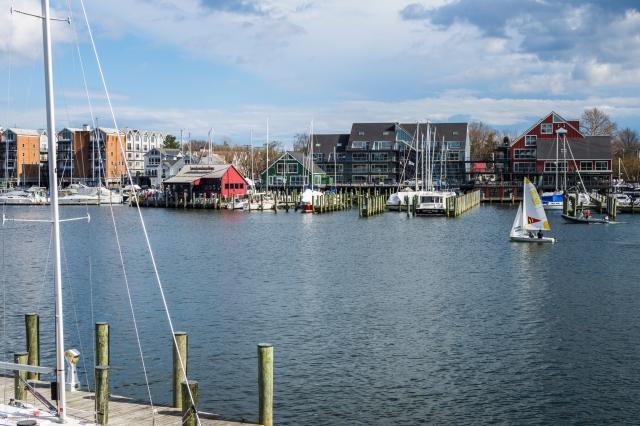 How to Appeal to the Growing Demand for Waterfront Homes in Annapolis cover picture