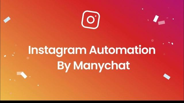 How to Effectively Use Instagram for Business Growth? cover picture
