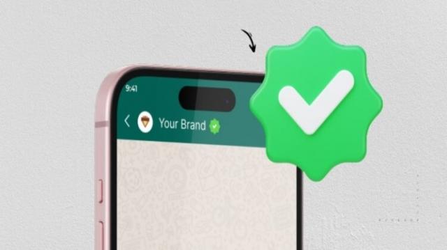 How to Get a WhatsApp Green Tick for Your Business: The Complete Guide cover picture