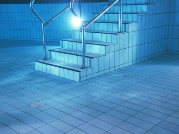 How to Clean Pool Tile cover picture