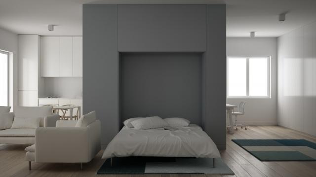 How to Decorate Around a Queen Wall Bed for Maximum Style cover picture