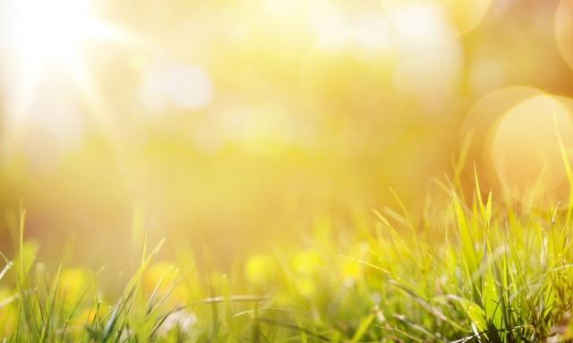 How To Plan an Unforgettable Summer Next Year cover picture
