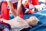 Understanding the Importance of First Aid Courses cover picture