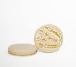 Discover the Benefits of Aidite PMMA Multilayer for Natural, Durable Dental Restorations cover picture