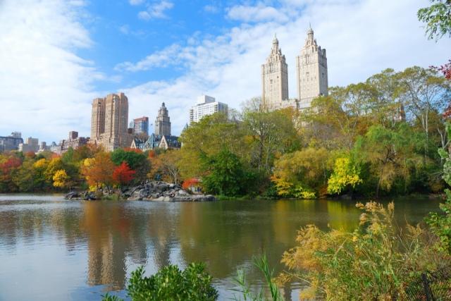 Eco-Friendly Solutions to Enhance Urban Landscapes and Prevent Water Damage cover picture