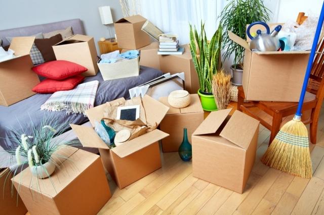 Comprehensive Guide to Choosing the Best Removal Company for Your Needs cover picture