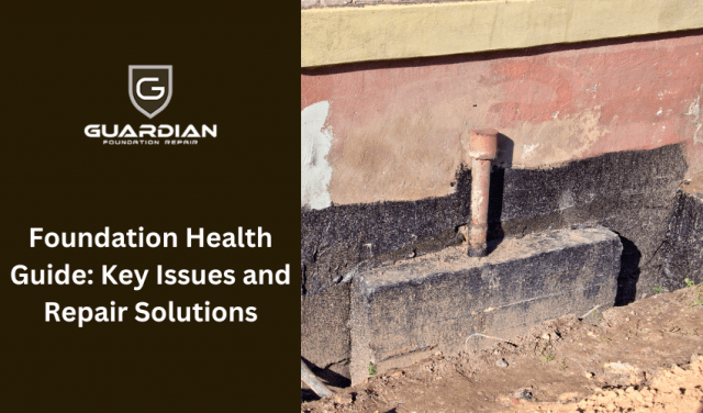 Foundation Health Guide: Key Issues and Repair Solutions cover picture