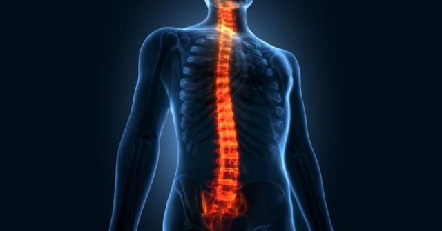 Modern Methods and Approaches of Spinal Diseases Diagnosis cover picture