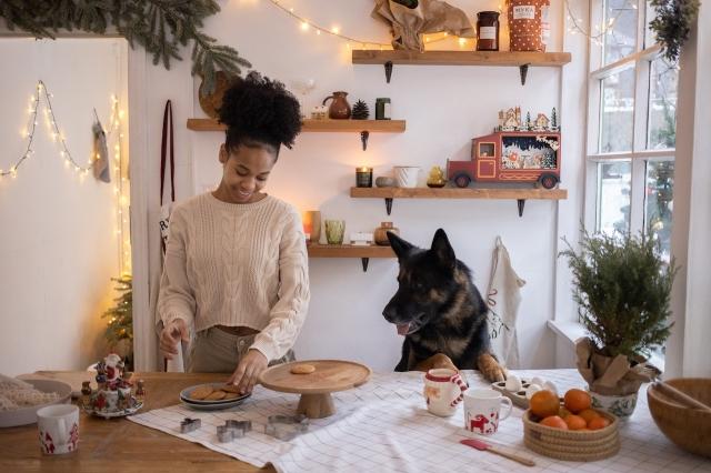 8 Holiday Treats Recipes to Light Up Your Dog’s Christmas cover picture
