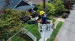 Mesa Electricians: How to Find the Best Electrical Services in Your Area cover picture