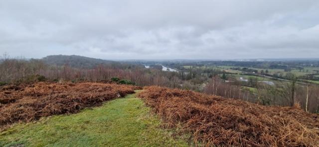 Exploring the Defra Statutory Biodiversity Metric Calculator: A Tool for Measurable Conservation cover picture