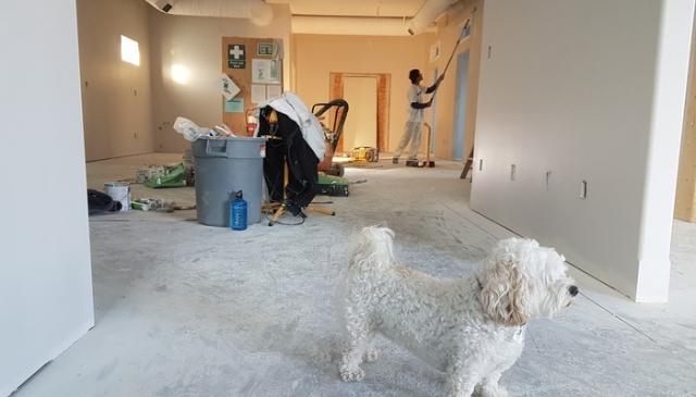 Marvelous Reasons to Renovate Your House cover picture