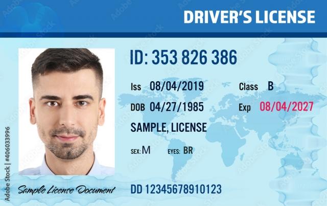 Free Drivers License Templates: Editable and Printable cover picture