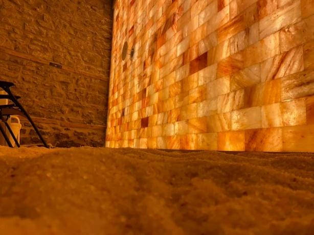 Exploring Salt Bricks and Salt Blocks: Versatile Applications across Different Fields cover picture