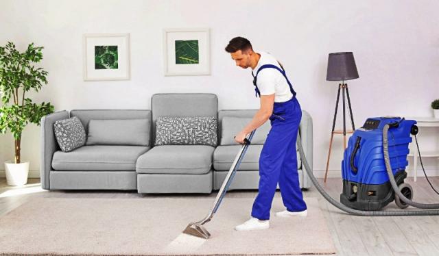 Revitalize Your Space: The Ultimate Guide to Spotless Carpets cover picture